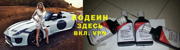 СК Пересвет