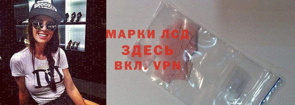 ГАЛЛЮЦИНОГЕННЫЕ ГРИБЫ Абаза
