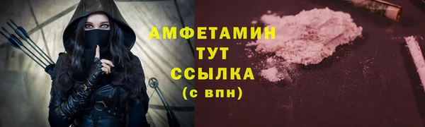 СК Пересвет