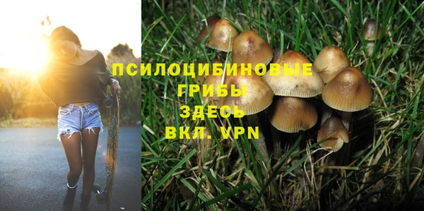 экстази Алексеевка