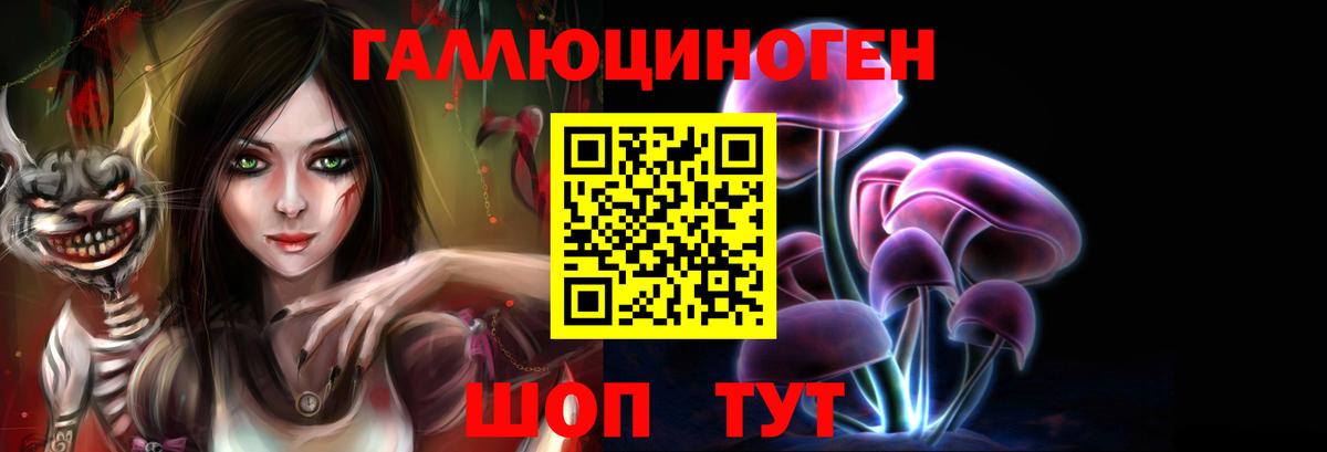 Псилоцибиновые грибы Cubensis Калининград